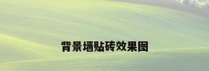 背景墙贴砖效果图