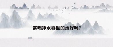 常喝净水器里的水好吗?