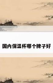 国内保温杯哪个牌子好