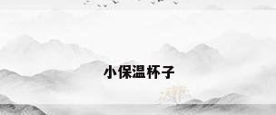 小保温杯子