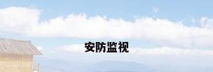 安防监视
