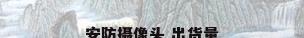 安防摄像头 出货量