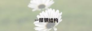 一层钢结构