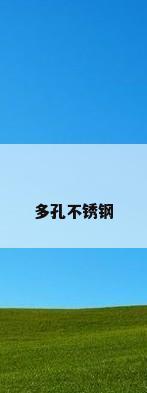 多孔不锈钢