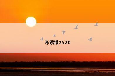 不锈钢2520