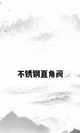 不锈钢直角阀