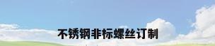 不锈钢非标螺丝订制