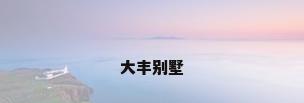 大丰别墅