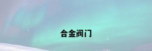 合金阀门
