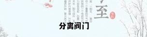 分离阀门