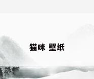 猫咪 壁纸