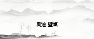 奥迪 壁纸