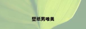 壁纸男唯美