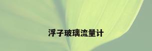 浮子玻璃流量计