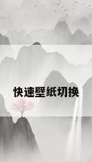 快速壁纸切换