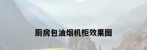 厨房包油烟机柜效果图