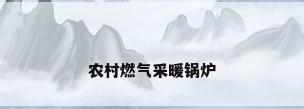 农村燃气采暖锅炉