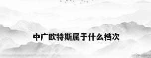 中广欧特斯属于什么档次