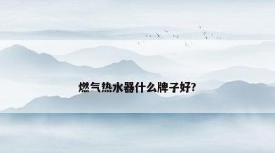 燃气热水器什么牌子好?