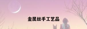 金属丝手工艺品