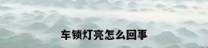 车锁灯亮怎么回事