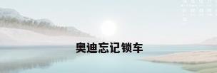奥迪忘记锁车