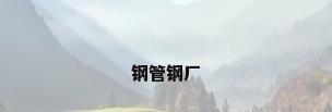 钢管钢厂