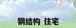 钢结构 住宅