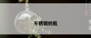 不锈钢奶瓶