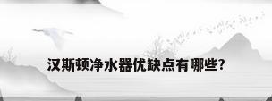 汉斯顿净水器优缺点有哪些?