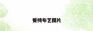 餐椅布艺图片