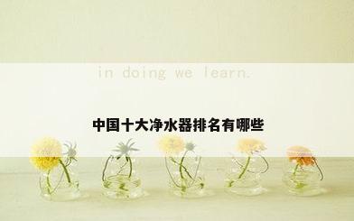 中国十大净水器排名有哪些