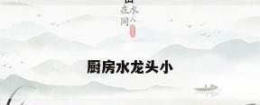 厨房水龙头小