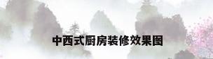 中西式厨房装修效果图