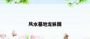 风水墓地龙脉图