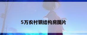 5万农村钢结构房图片