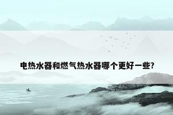 电热水器和燃气热水器哪个更好一些?