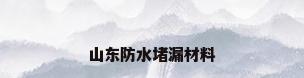 山东防水堵漏材料