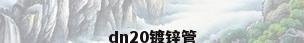 dn20镀锌管