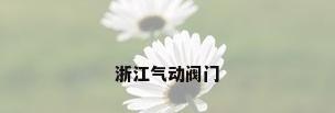浙江气动阀门