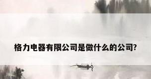 格力电器有限公司是做什么的公司?