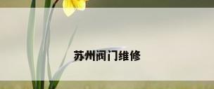 苏州阀门维修