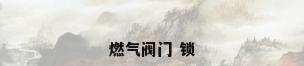燃气阀门 锁