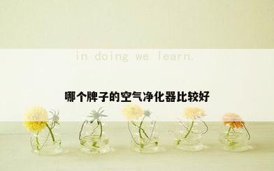 哪个牌子的空气净化器比较好