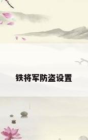 铁将军防盗设置