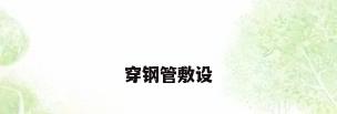 穿钢管敷设