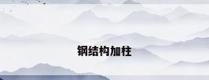 钢结构加柱