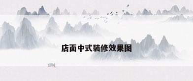 店面中式装修效果图
