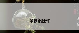 吊顶铝挂件