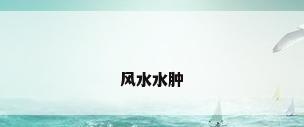 风水水肿